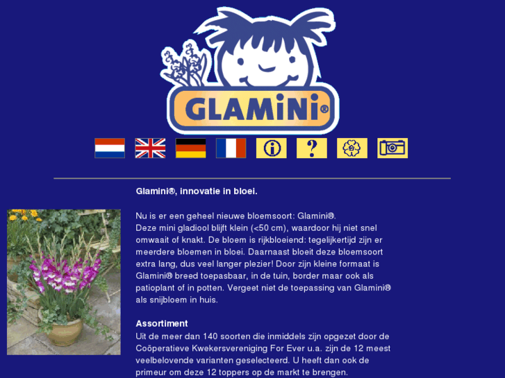 www.glamini.com