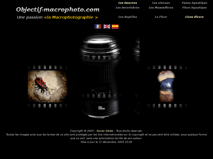 www.objectif-macrophoto.com