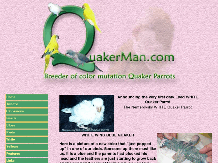 www.quakerman.com