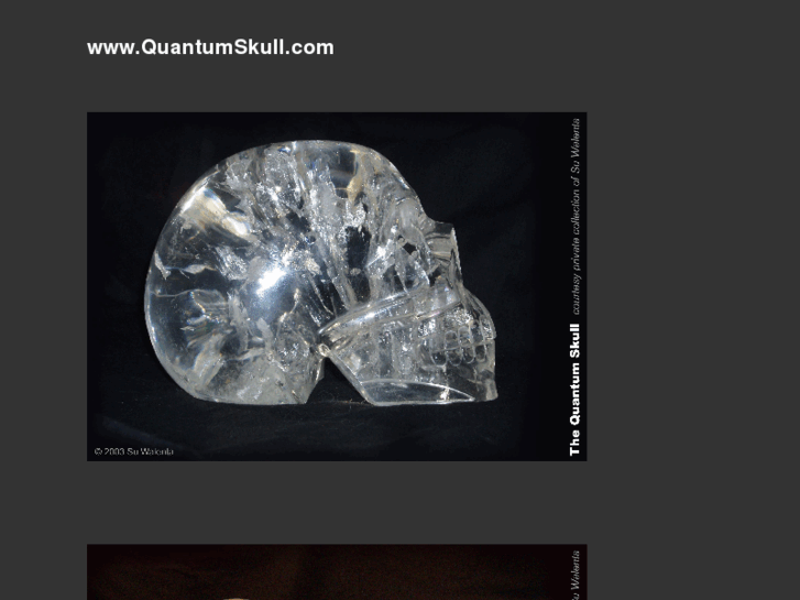www.quantumskull.com