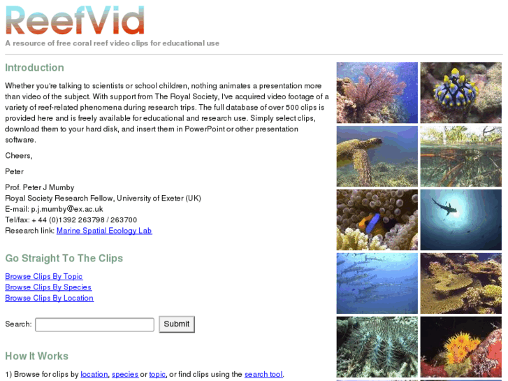 www.reefvid.org