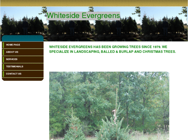 www.whitesideevergreens.com