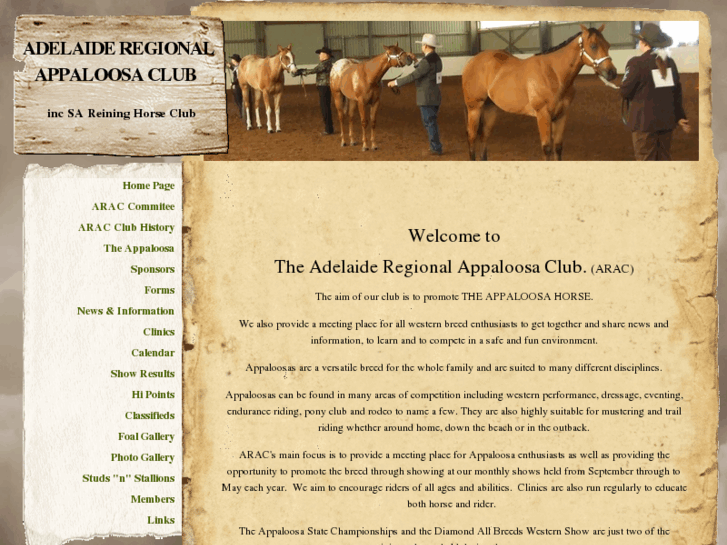 www.adelaideregionalappaloosaclub.com