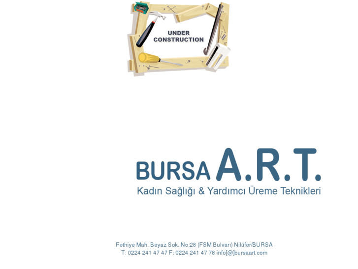 www.bursaart.com