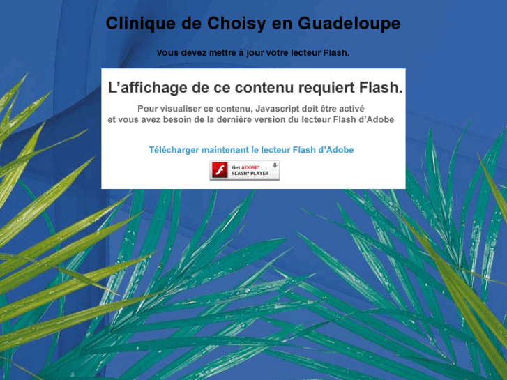 www.choisy-cliniques.com