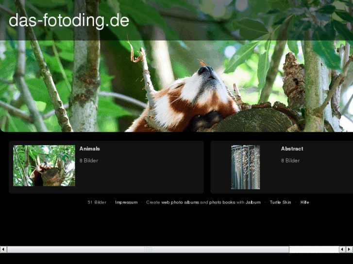 www.das-fotoding.de