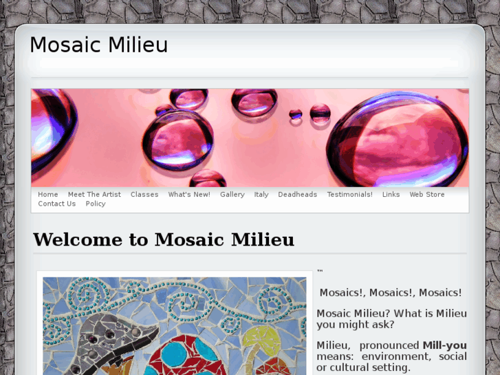 www.mosaicmilieu.com