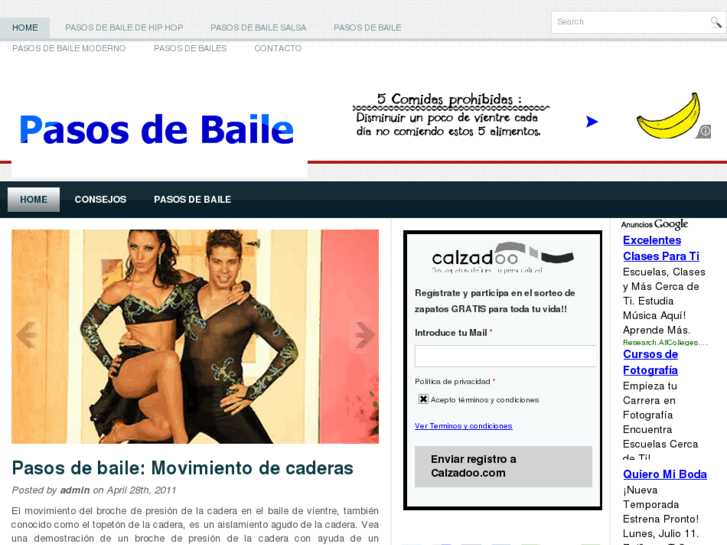 www.pasosdebaile.org