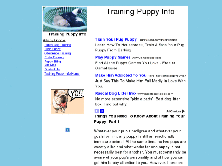 www.trainingpuppyinfo.com