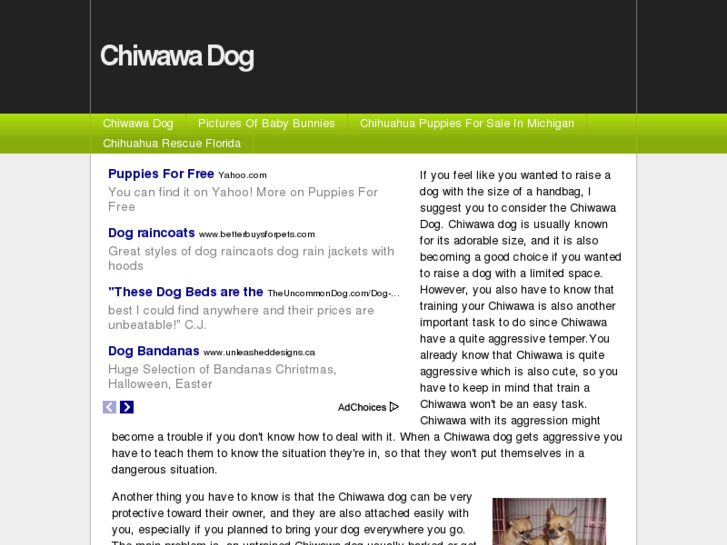 www.chiwawadog.info