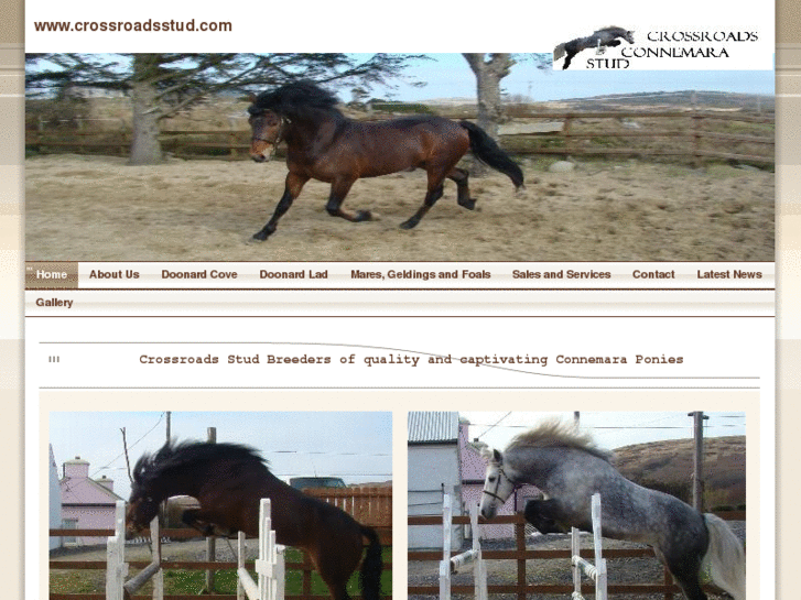 www.crossroadsstud.com