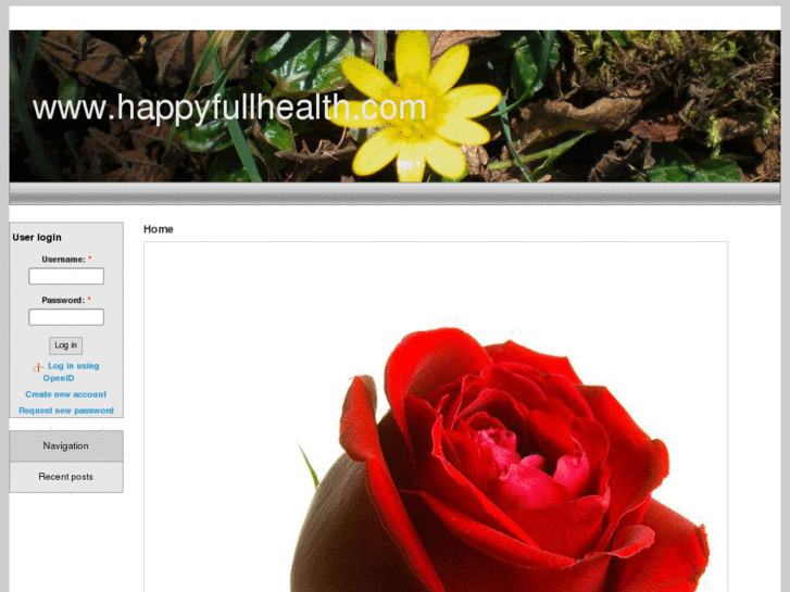 www.happyfullhealth.com