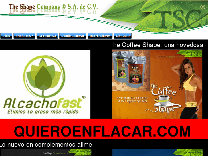 www.paginaswebmex.com