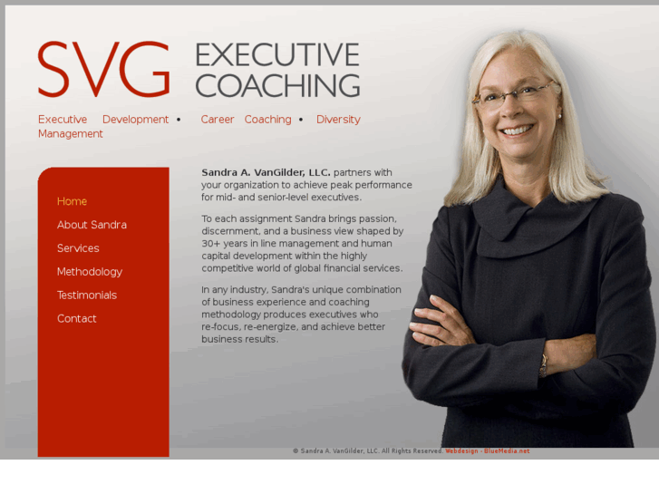 www.svgexecutivecoaching.com