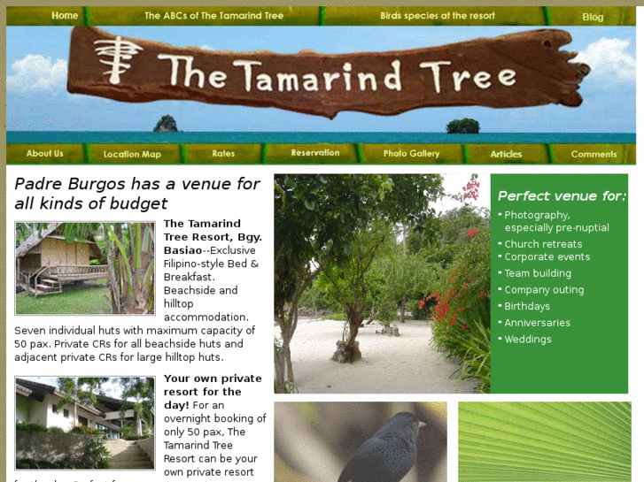 www.thetamarindtreeresort.com