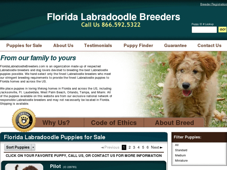 www.floridalabradoodlebreeders.com