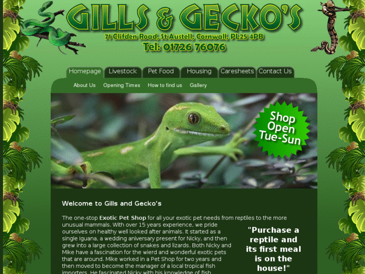 www.gillsandgeckos.com