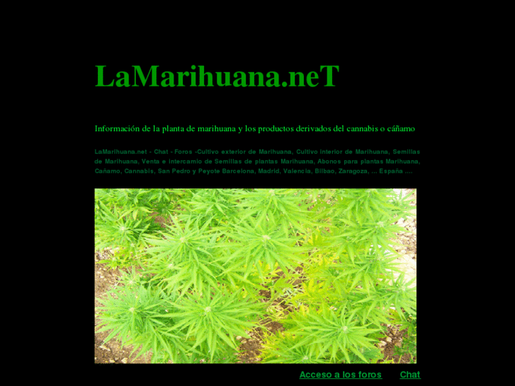 www.lamarihuana.net