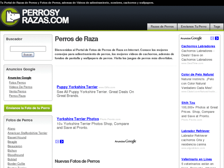 www.perrosyrazas.com