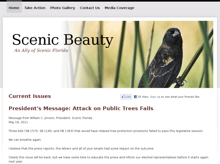 www.scenicbeauty.com