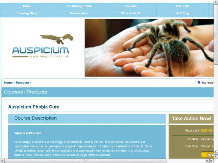 www.spiderphobiacure.com