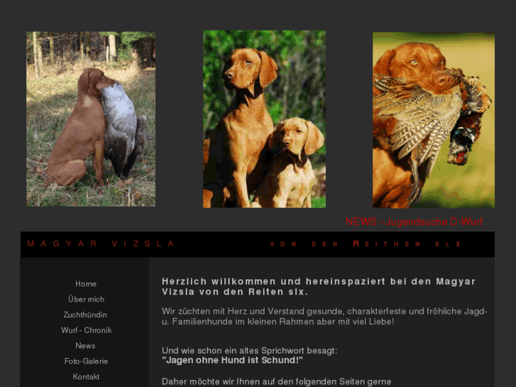 www.vizsla-nord.com