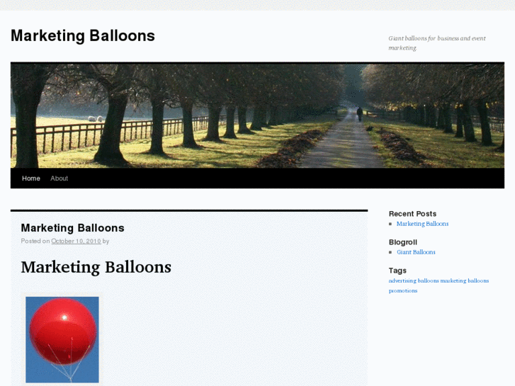 www.marketingballoons.biz