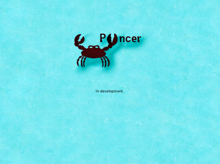 www.pyncer.com