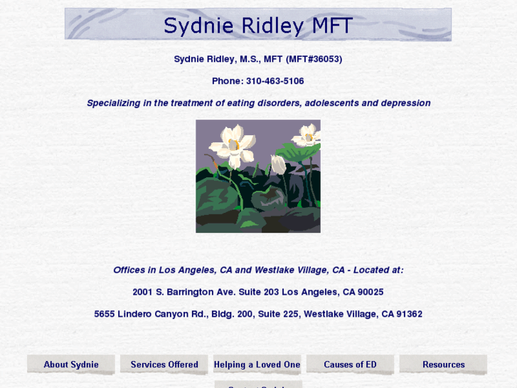 www.sydnieridleymft.com