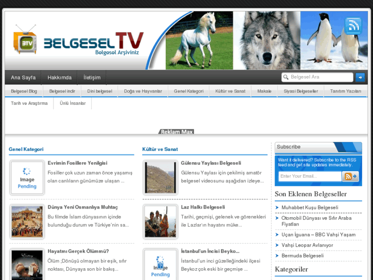 www.belgeseltv.org