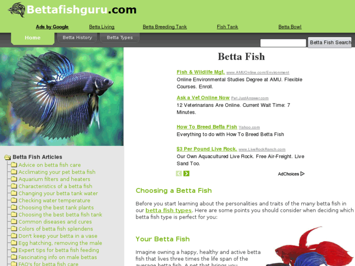 www.bettafishguru.com