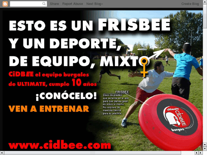 www.cidbee.com