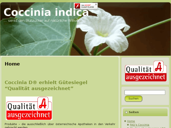 www.coccinia.com