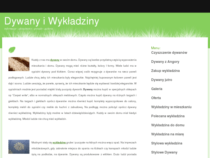 www.dywany-wykladziny.com