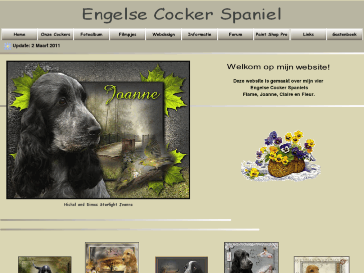 www.engelsecockerspaniel.info