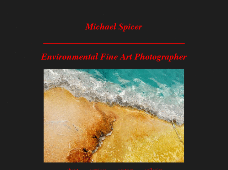 www.michaelspicer.net