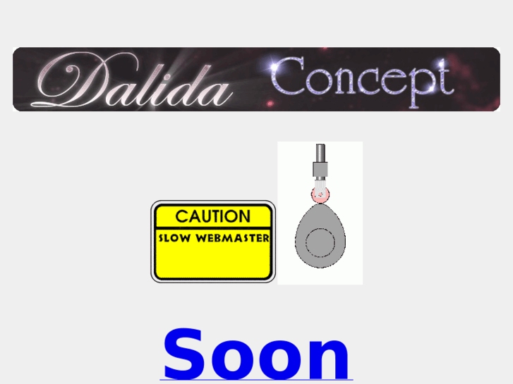 www.dalidaconcept.com