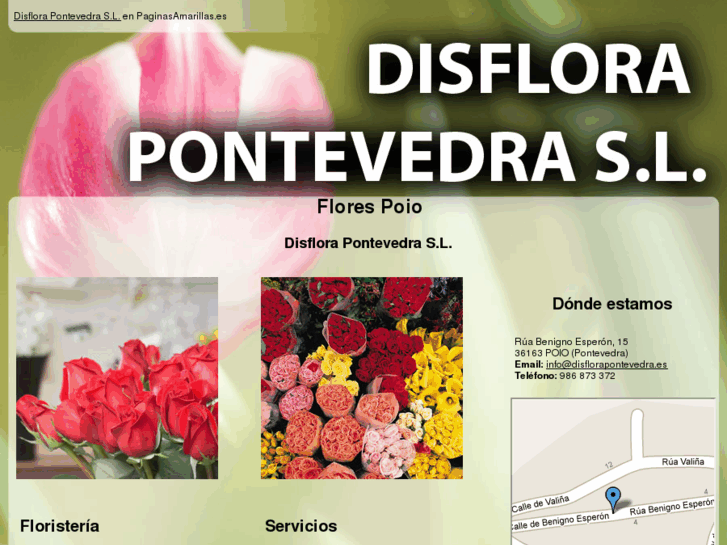 www.disflorapontevedra.es