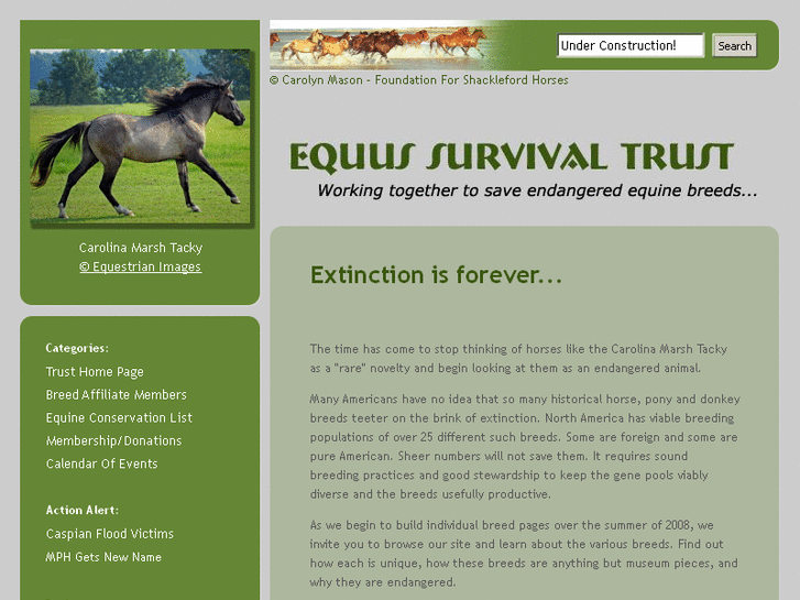 www.equus-survival-trust.org