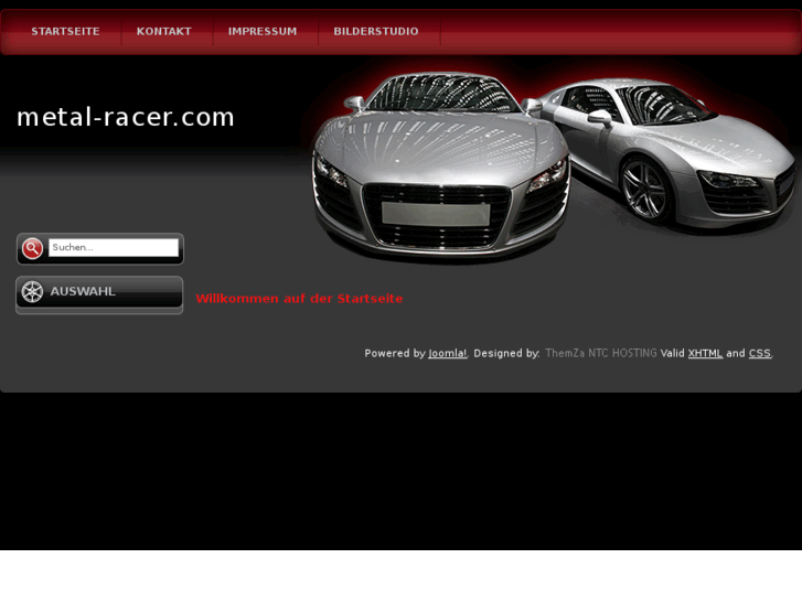 www.metal-racer.com