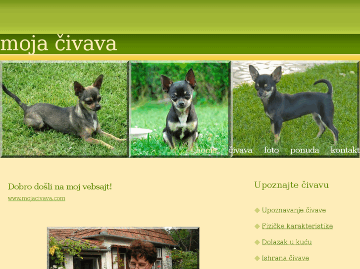 www.mojacivava.com