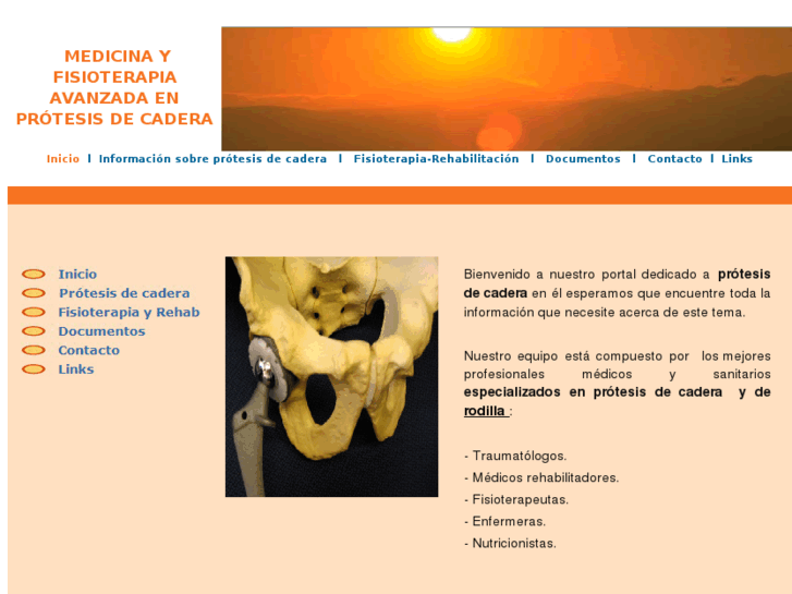 www.protesiscadera.es