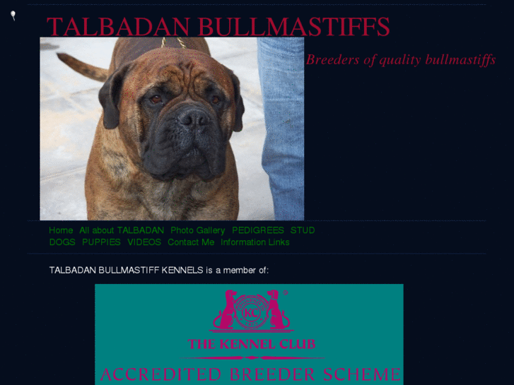 www.talbadanbullmastiffs.com