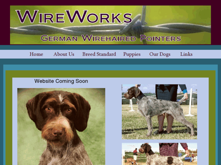 www.wireworkskennel.com