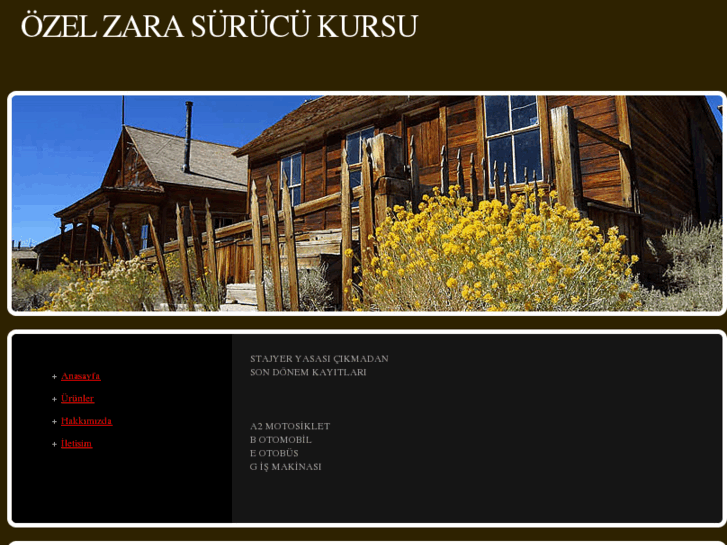 www.zarasurucukursu.com