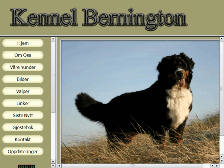 www.bernington.com