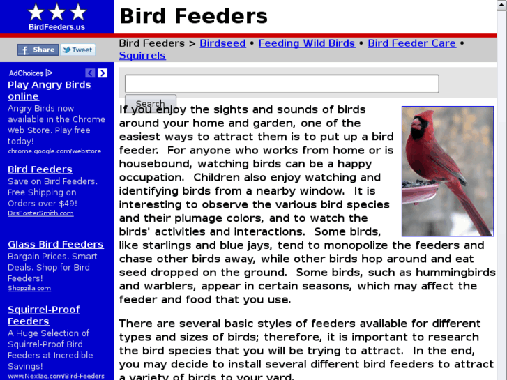 www.birdfeeders.us