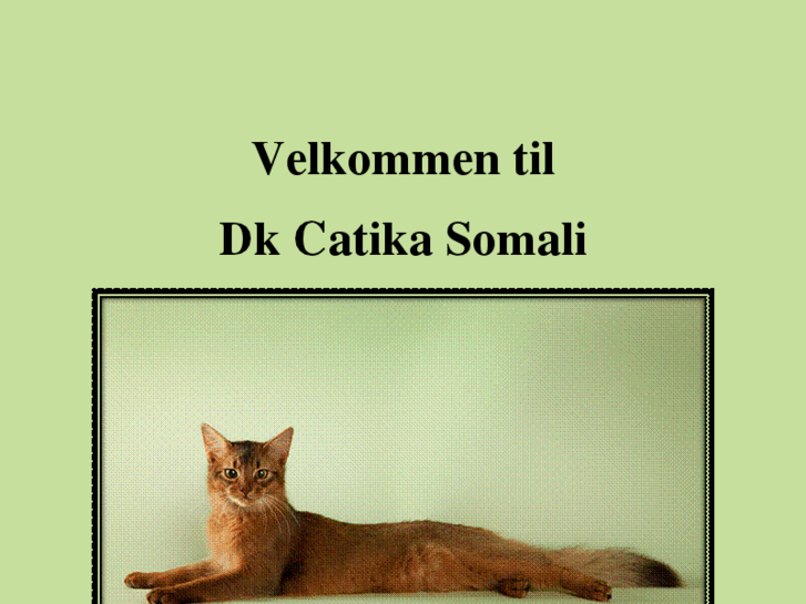 www.catika.com