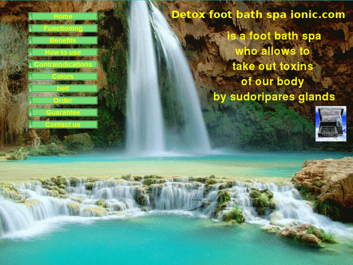 www.detoxfootbathspaionic.com