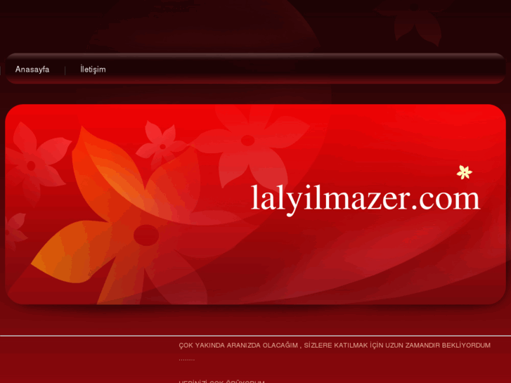 www.lalyilmazer.com